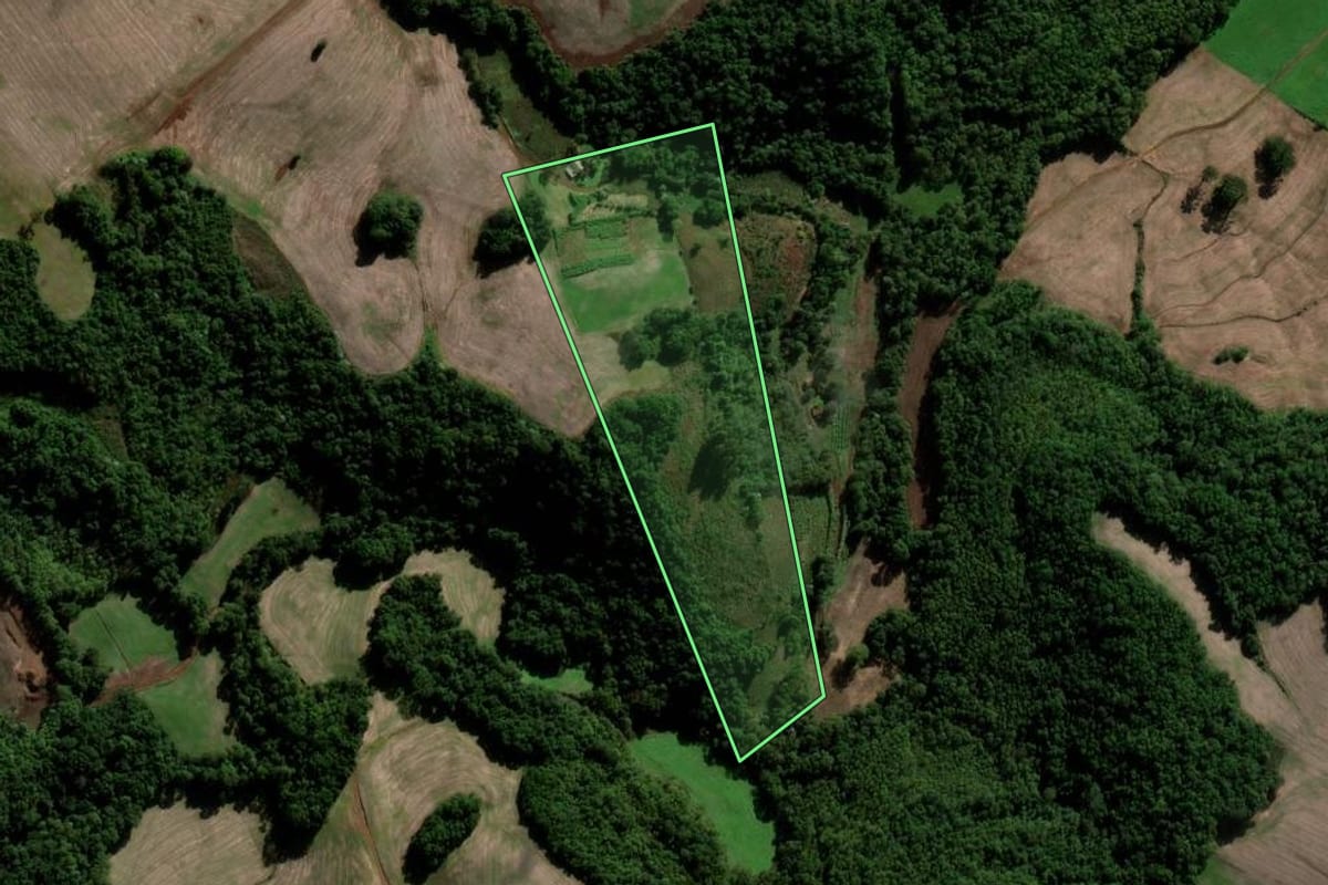 Imagem de satélite do imóvel rural em Novo Barreiro (RS), com o contorno declarado no CAR desenhado por cima.