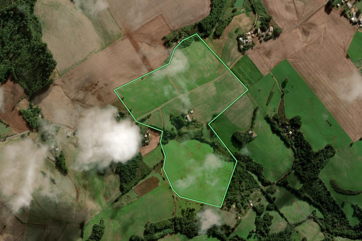 Imagem de satélite do imóvel rural em Novo Barreiro (RS), com o contorno declarado no CAR desenhado por cima.