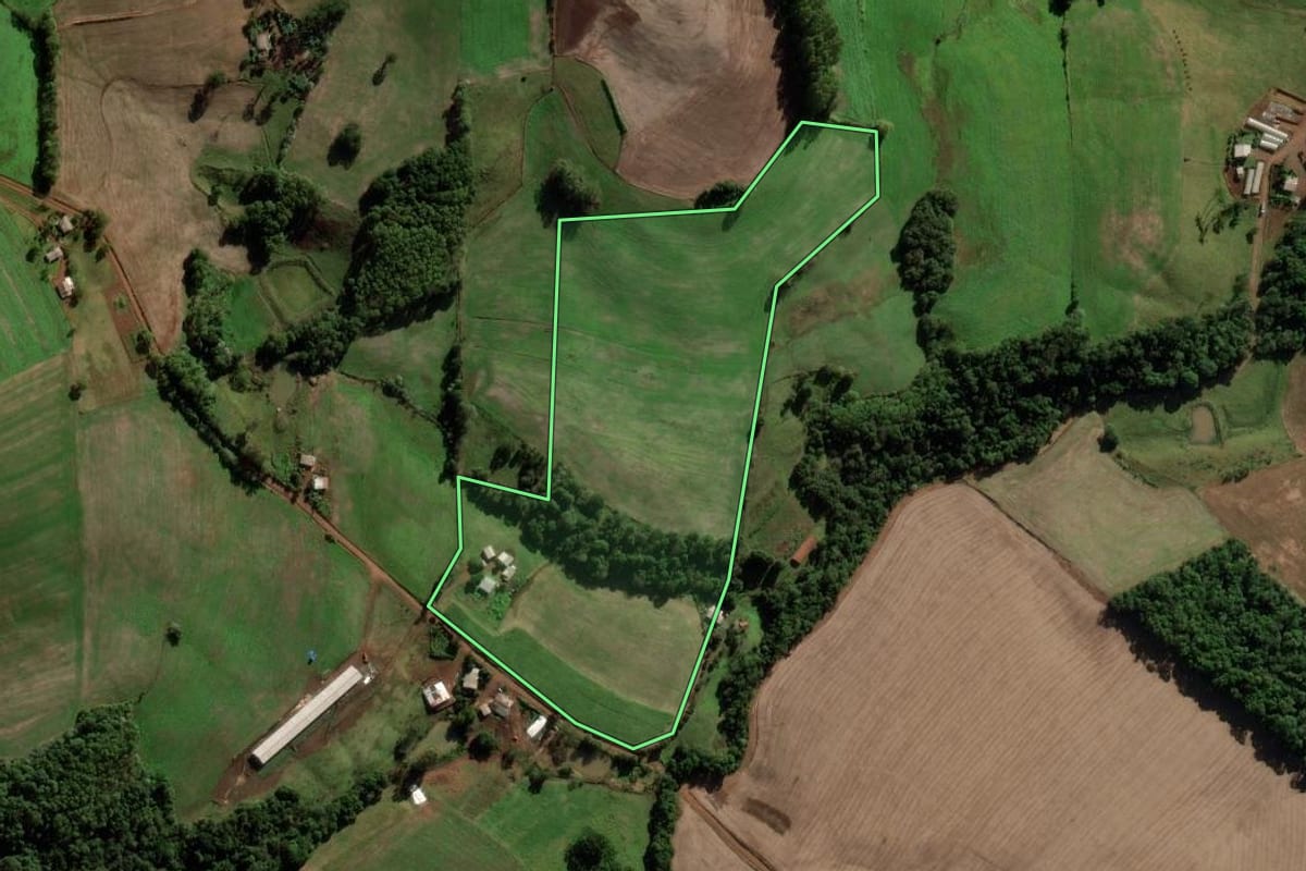 Imagem de satélite do imóvel rural em Novo Barreiro (RS), com o contorno declarado no CAR desenhado por cima.