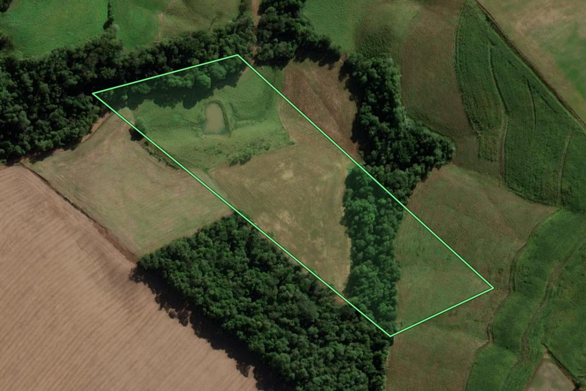 Imagem de satélite do imóvel rural em Novo Barreiro (RS), com o contorno declarado no CAR desenhado por cima.