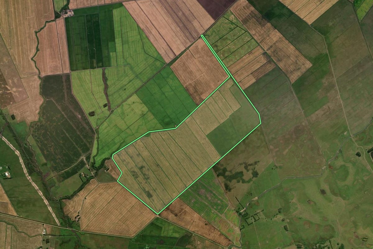 Imagem de satélite do imóvel rural em Osório (RS), com o contorno declarado no CAR desenhado por cima.