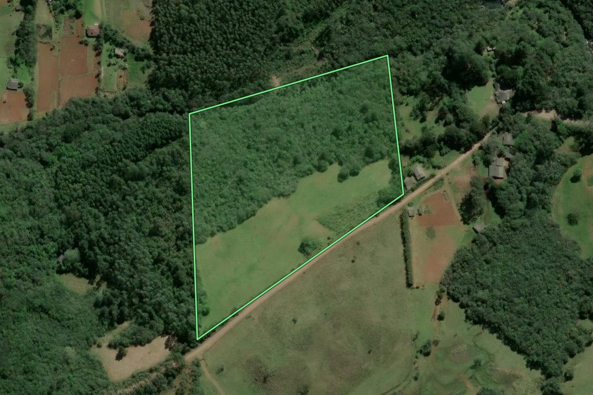 Imagem de satélite do imóvel rural em Osório (RS), com o contorno declarado no CAR desenhado por cima.