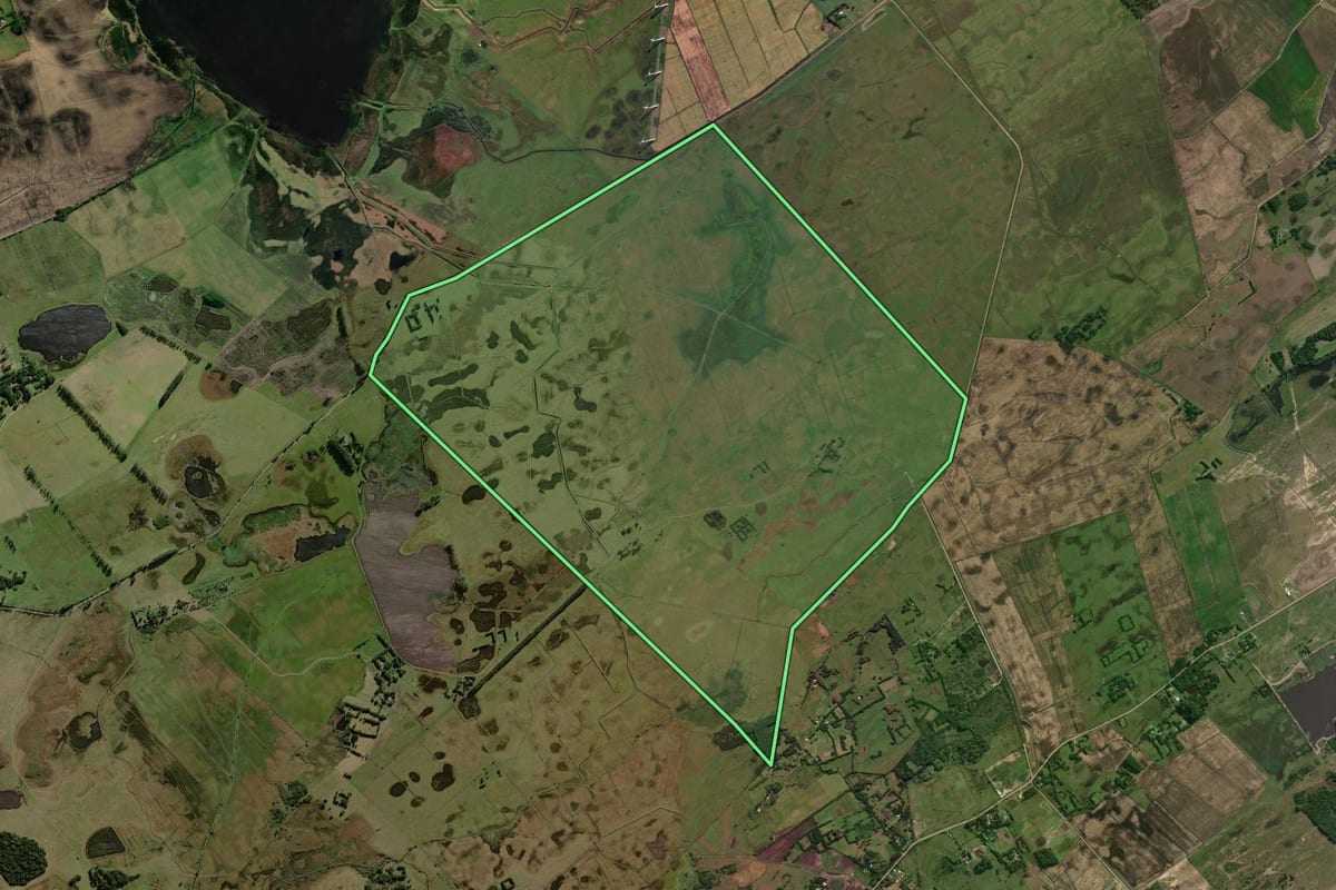Imagem de satélite do imóvel rural em Osório (RS), com o contorno declarado no CAR desenhado por cima.