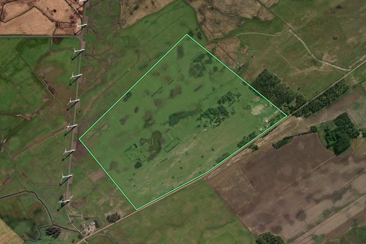 Imagem de satélite do imóvel rural em Osório (RS), com o contorno declarado no CAR desenhado por cima.