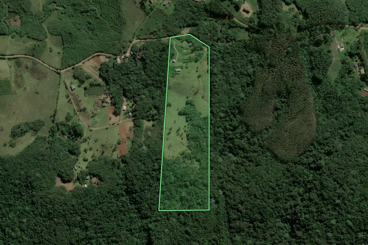 Imagem de satélite do imóvel rural em Osório (RS), com o contorno declarado no CAR desenhado por cima.