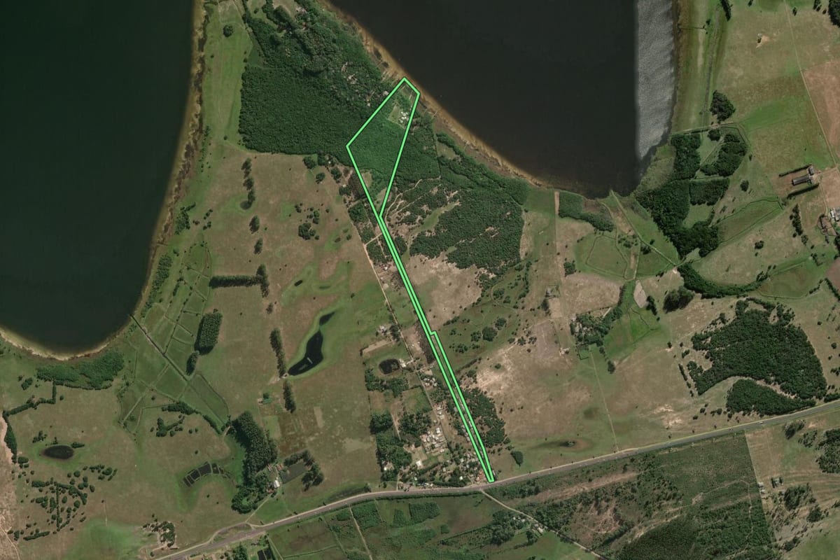 Imagem de satélite do imóvel rural em Osório (RS), com o contorno declarado no CAR desenhado por cima.