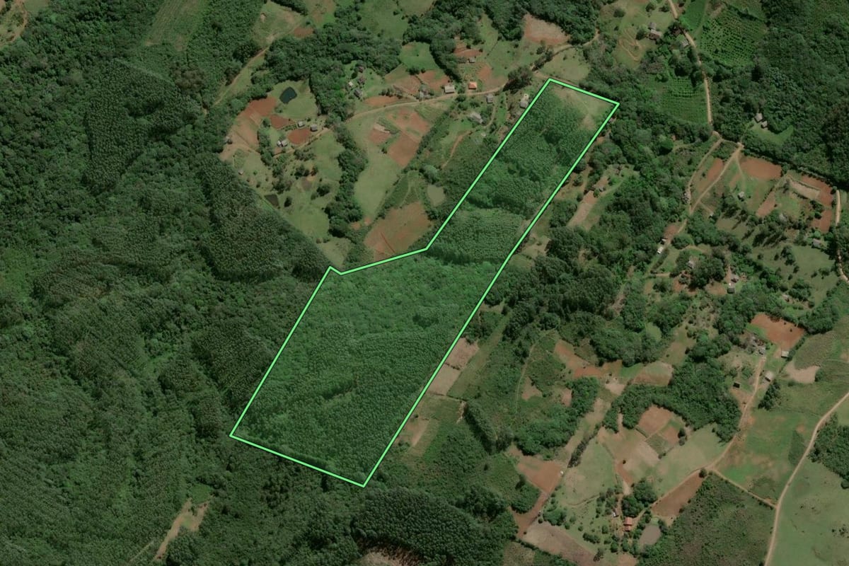 Imagem de satélite do imóvel rural em Osório (RS), com o contorno declarado no CAR desenhado por cima.