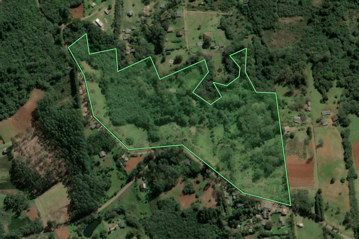 Imagem de satélite do imóvel rural em Osório (RS), com o contorno declarado no CAR desenhado por cima.