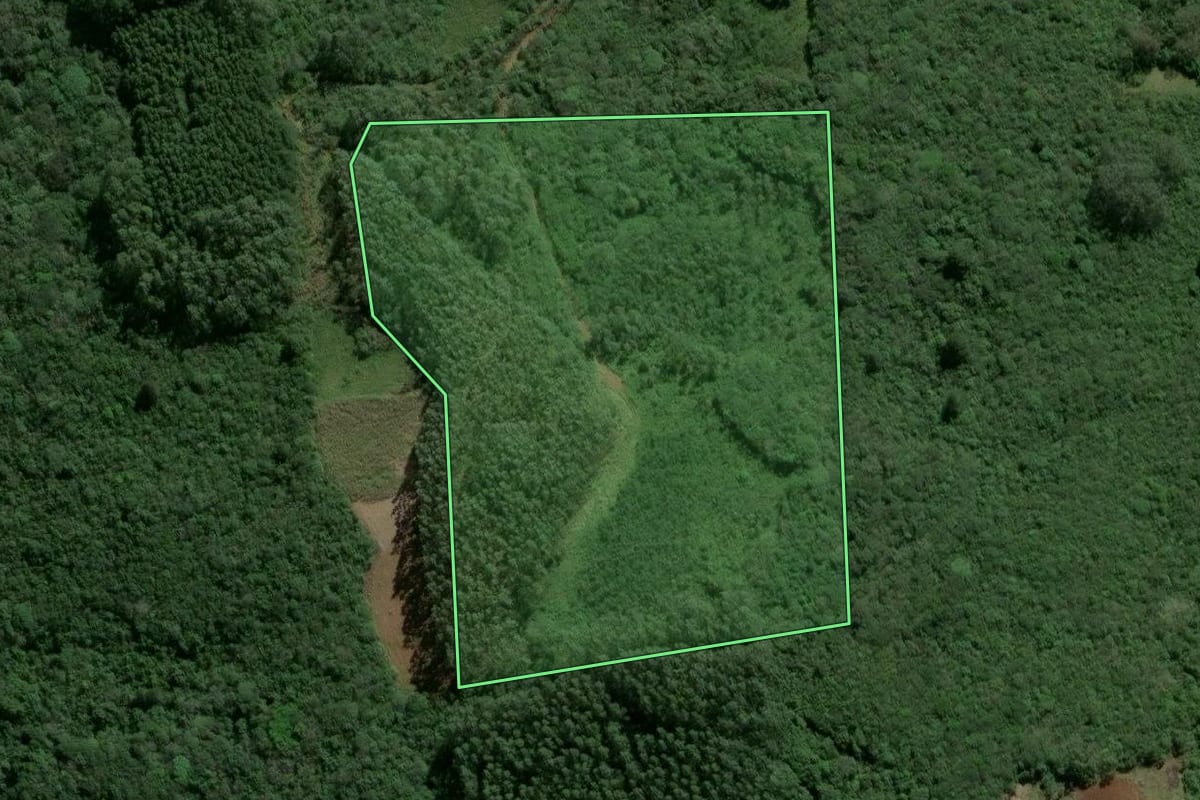 Imagem de satélite do imóvel rural em Osório (RS), com o contorno declarado no CAR desenhado por cima.