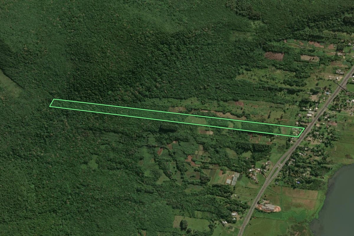 Imagem de satélite do imóvel rural em Osório (RS), com o contorno declarado no CAR desenhado por cima.