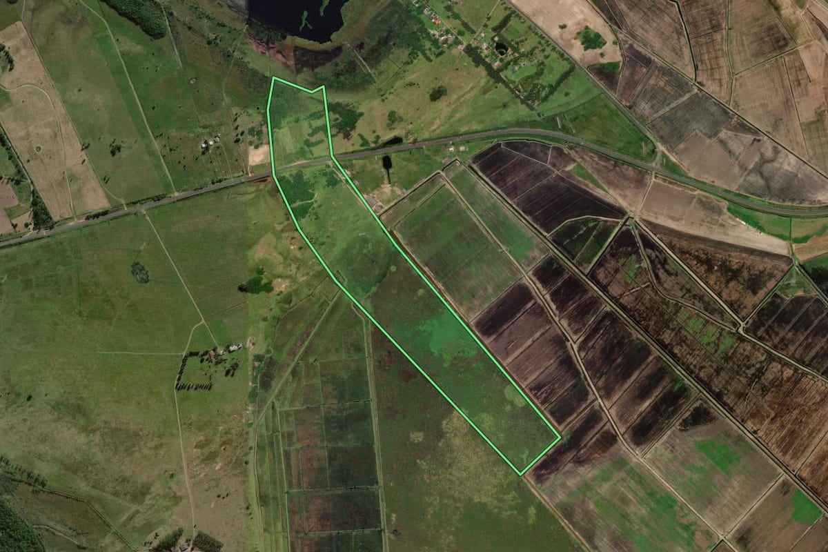 Imagem de satélite do imóvel rural em Osório (RS), com o contorno declarado no CAR desenhado por cima.
