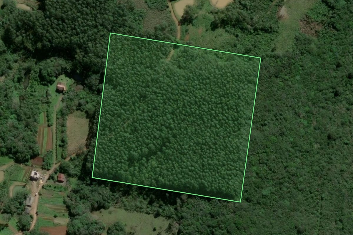 Imagem de satélite do imóvel rural em Osório (RS), com o contorno declarado no CAR desenhado por cima.