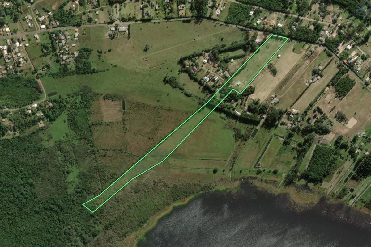 Imagem de satélite do imóvel rural em Osório (RS), com o contorno declarado no CAR desenhado por cima.