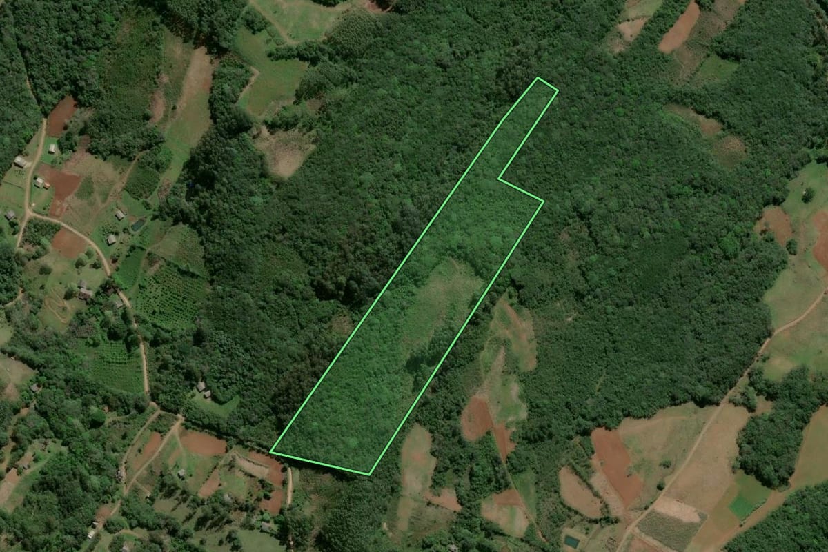 Imagem de satélite do imóvel rural em Osório (RS), com o contorno declarado no CAR desenhado por cima.