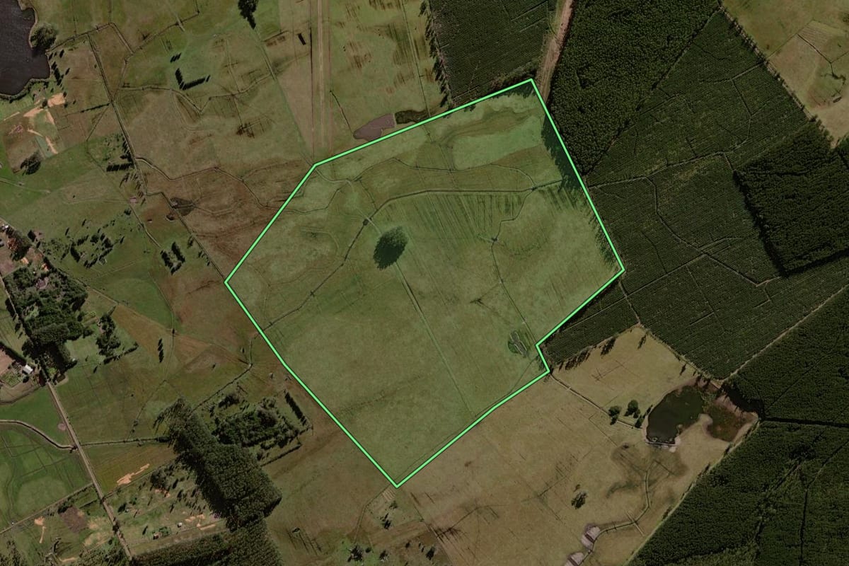 Imagem de satélite do imóvel rural em Osório (RS), com o contorno declarado no CAR desenhado por cima.