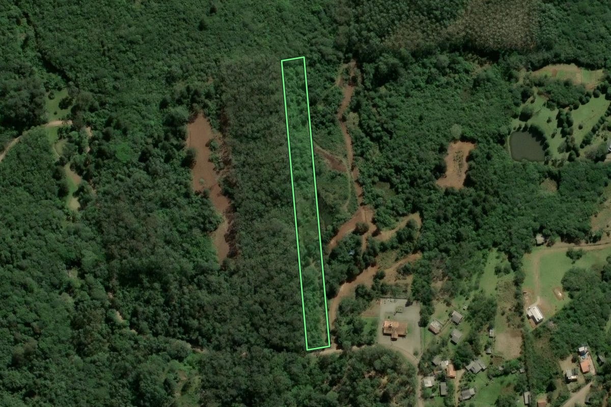 Imagem de satélite do imóvel rural em Osório (RS), com o contorno declarado no CAR desenhado por cima.