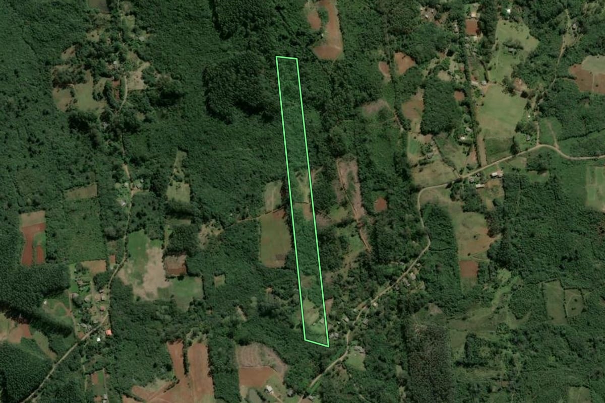 Imagem de satélite do imóvel rural em Osório (RS), com o contorno declarado no CAR desenhado por cima.