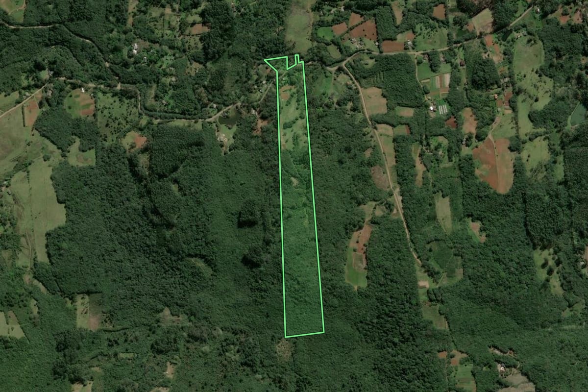 Imagem de satélite do imóvel rural em Osório (RS), com o contorno declarado no CAR desenhado por cima.
