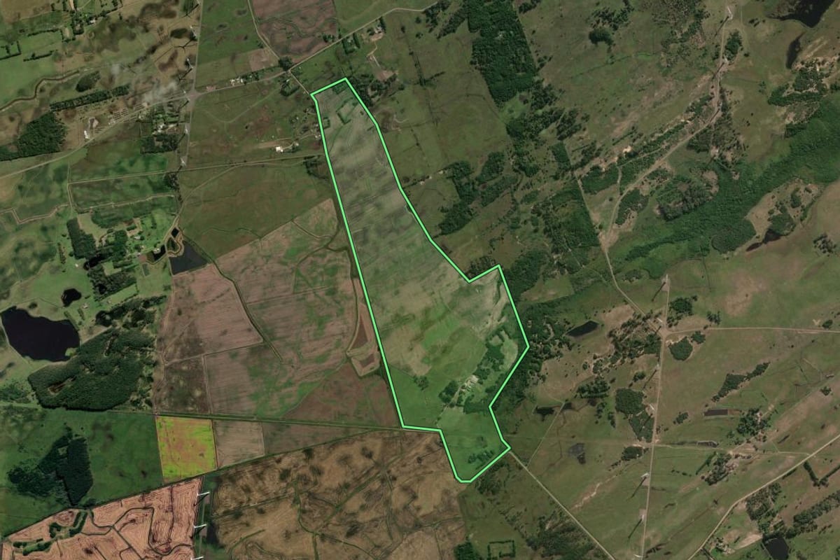 Imagem de satélite do imóvel rural em Osório (RS), com o contorno declarado no CAR desenhado por cima.