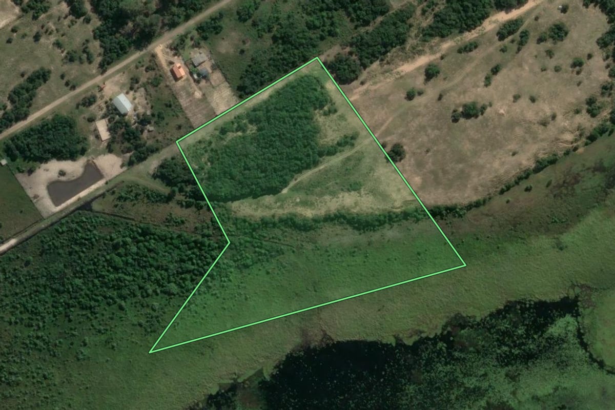 Imagem de satélite do imóvel rural em Osório (RS), com o contorno declarado no CAR desenhado por cima.