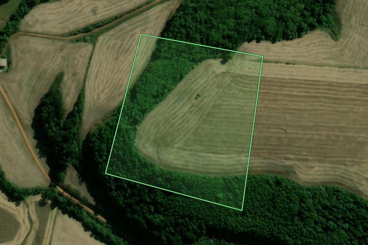 Imagem de satélite do imóvel rural em Paim Filho (RS), com o contorno declarado no CAR desenhado por cima.