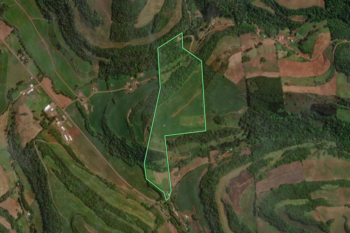 Imagem de satélite do imóvel rural em Paim Filho (RS), com o contorno declarado no CAR desenhado por cima.