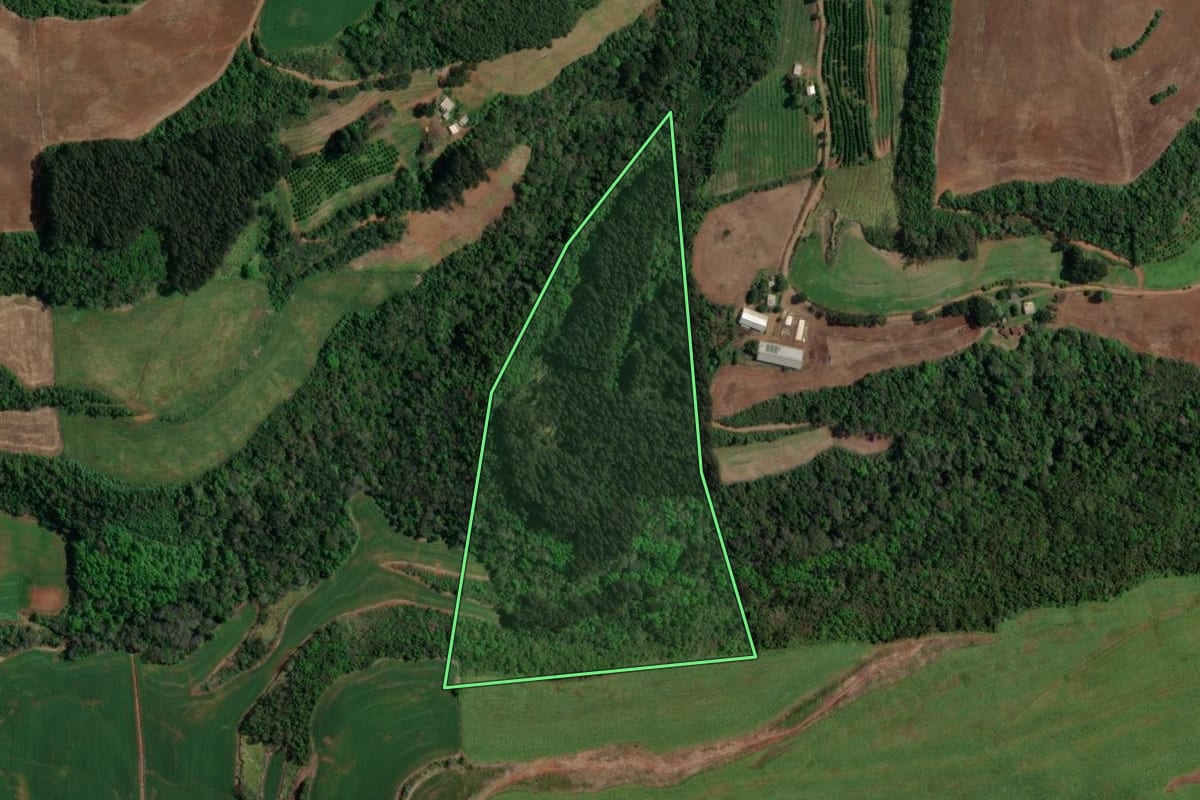 Imagem de satélite do imóvel rural em Paim Filho (RS), com o contorno declarado no CAR desenhado por cima.