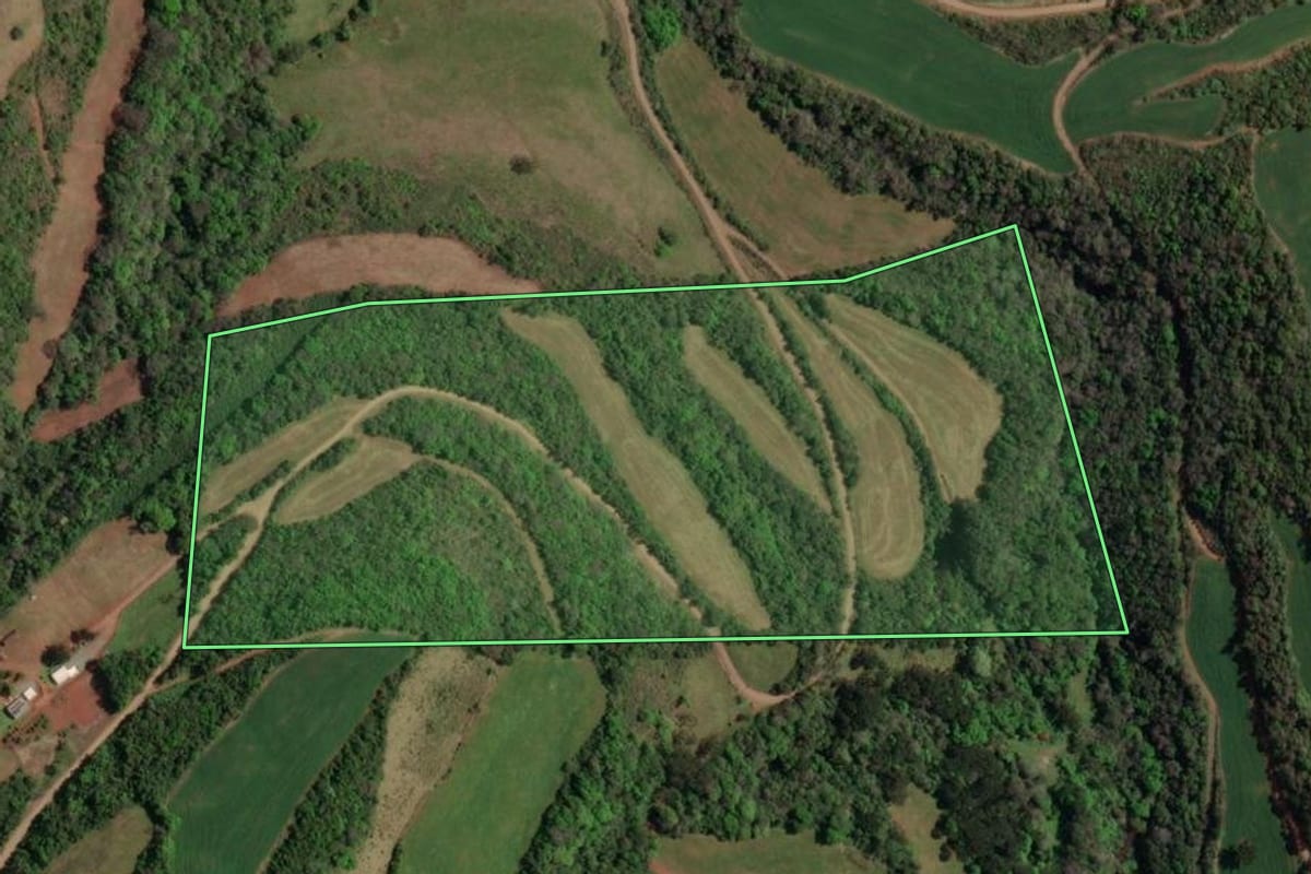 Imagem de satélite do imóvel rural em Paim Filho (RS), com o contorno declarado no CAR desenhado por cima.