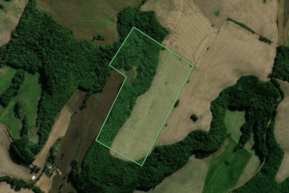 Imagem de satélite do imóvel rural em Paim Filho (RS), com o contorno declarado no CAR desenhado por cima.