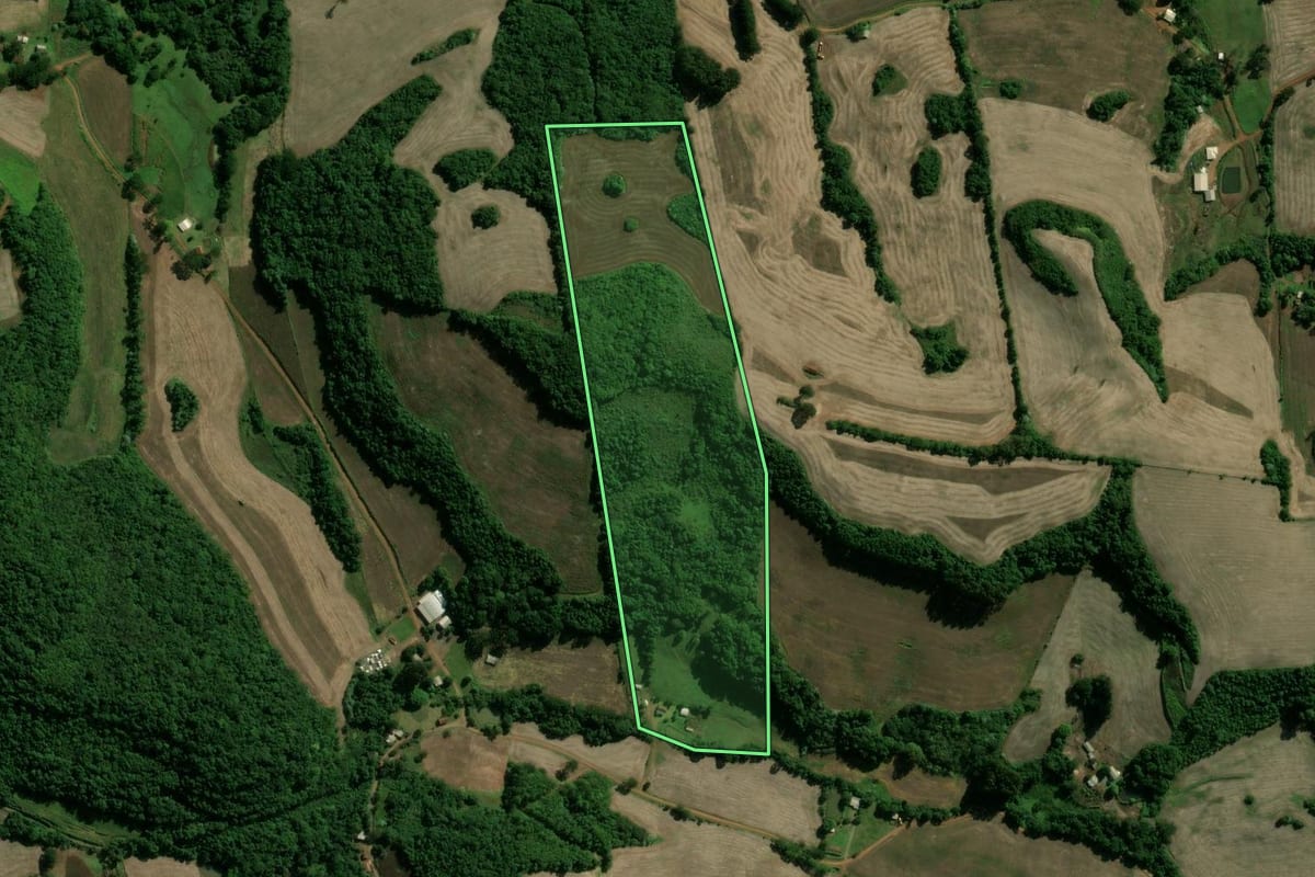 Imagem de satélite do imóvel rural em Paim Filho (RS), com o contorno declarado no CAR desenhado por cima.