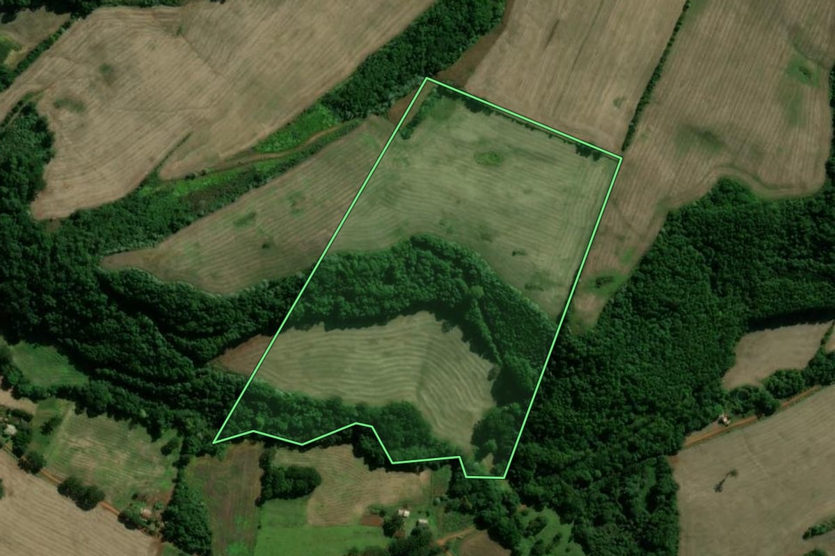 Imagem de satélite do imóvel rural em Paim Filho (RS), com o contorno declarado no CAR desenhado por cima.