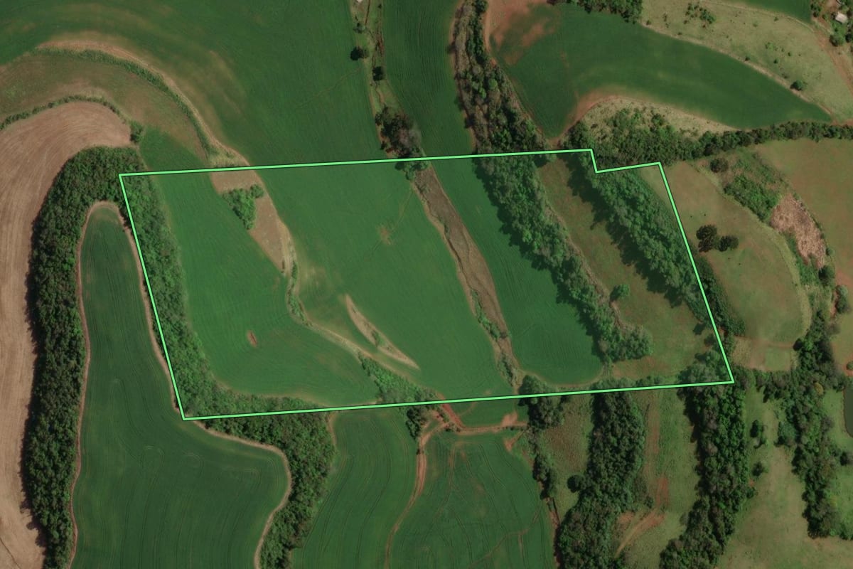 Imagem de satélite do imóvel rural em Paim Filho (RS), com o contorno declarado no CAR desenhado por cima.