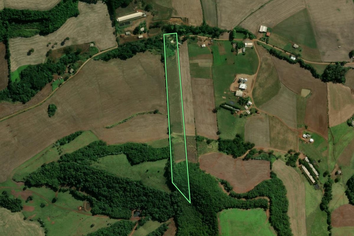 Imagem de satélite do imóvel rural em Paim Filho (RS), com o contorno declarado no CAR desenhado por cima.