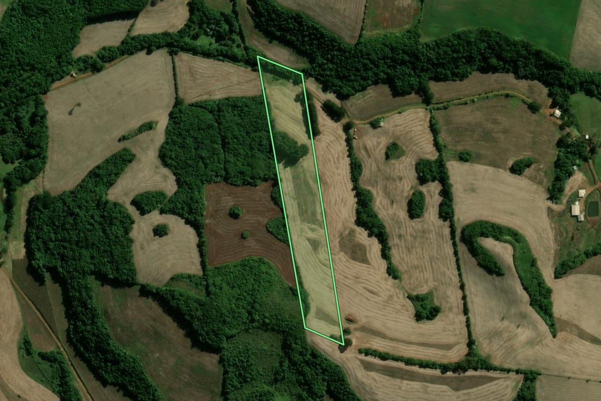 Imagem de satélite do imóvel rural em Paim Filho (RS), com o contorno declarado no CAR desenhado por cima.