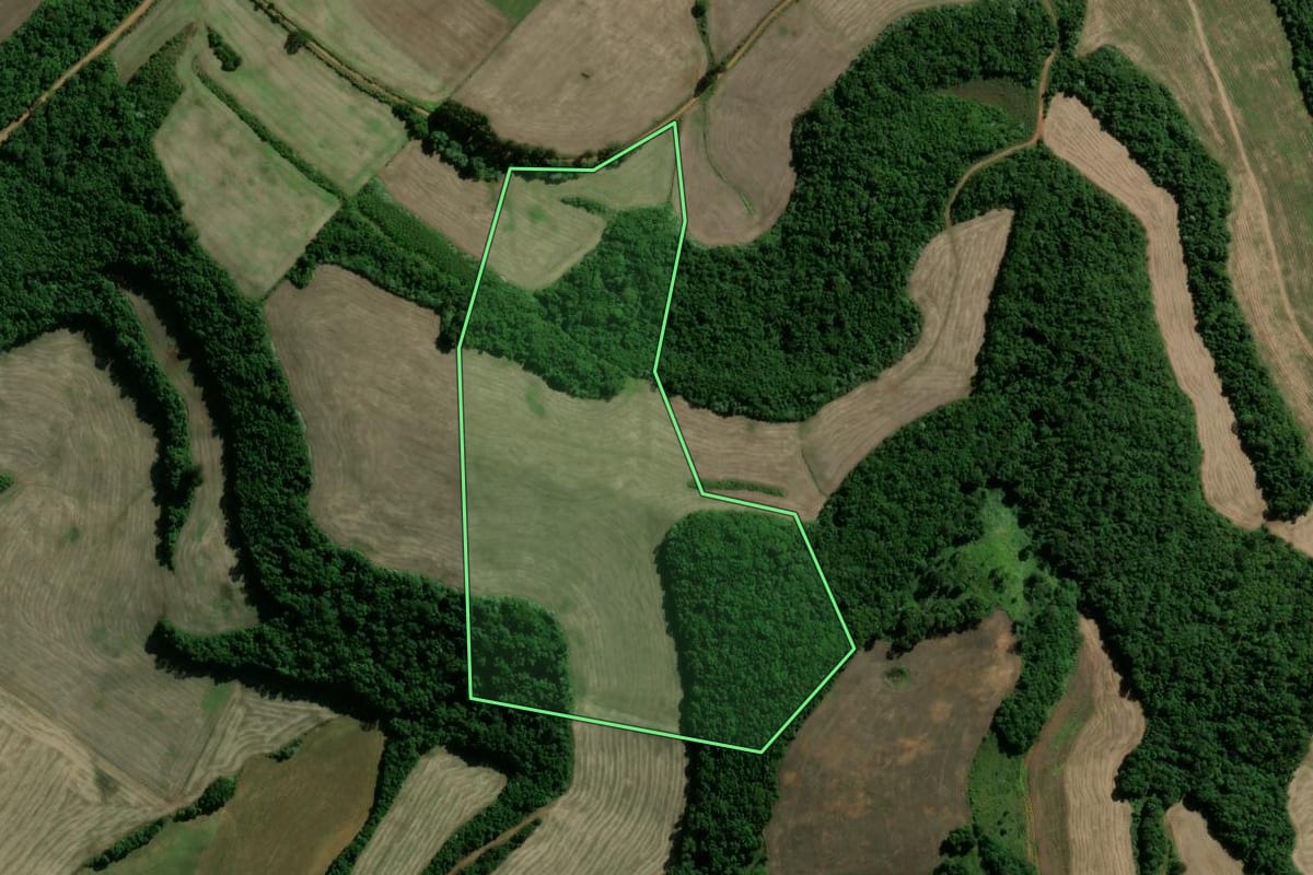 Imagem de satélite do imóvel rural em Paim Filho (RS), com o contorno declarado no CAR desenhado por cima.
