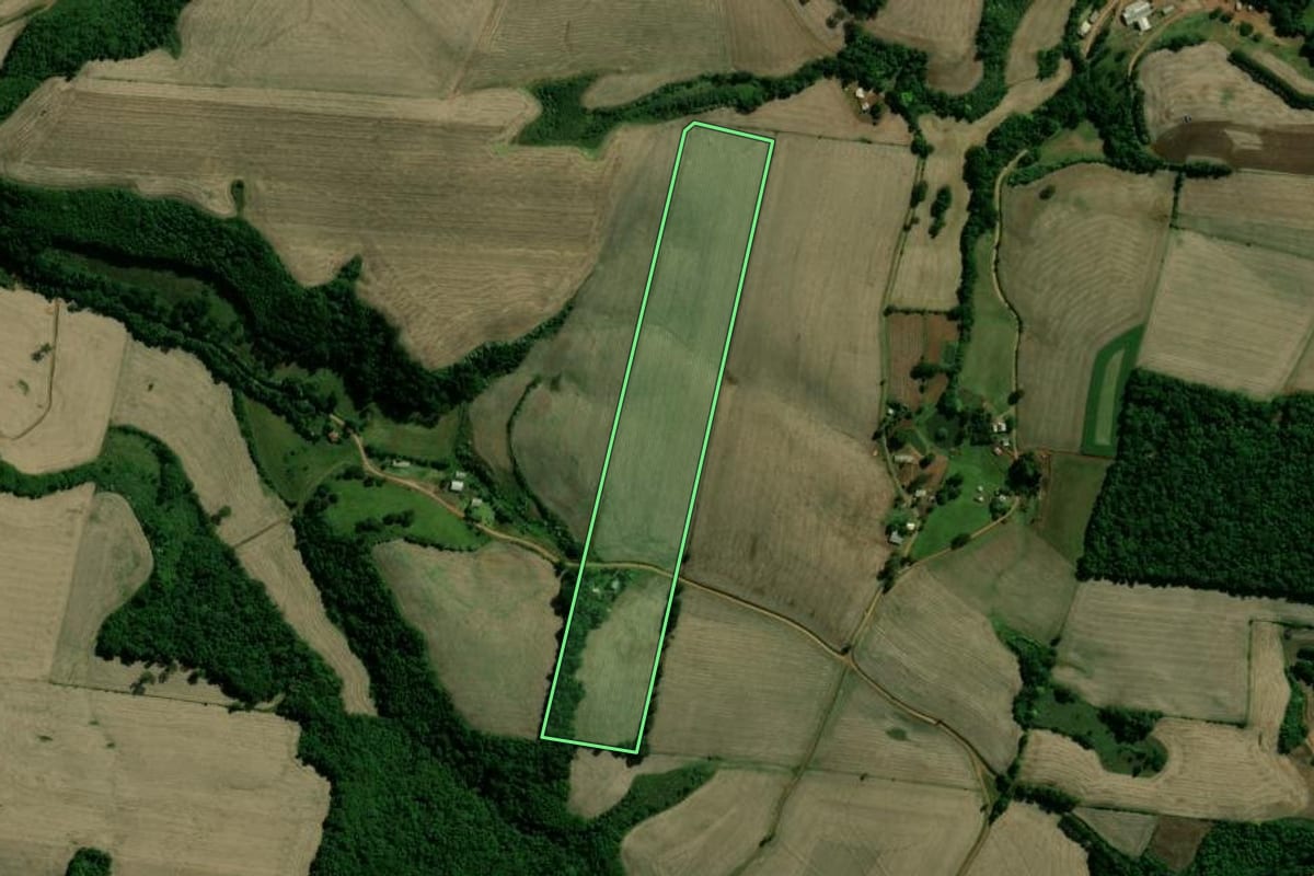 Imagem de satélite do imóvel rural em Paim Filho (RS), com o contorno declarado no CAR desenhado por cima.