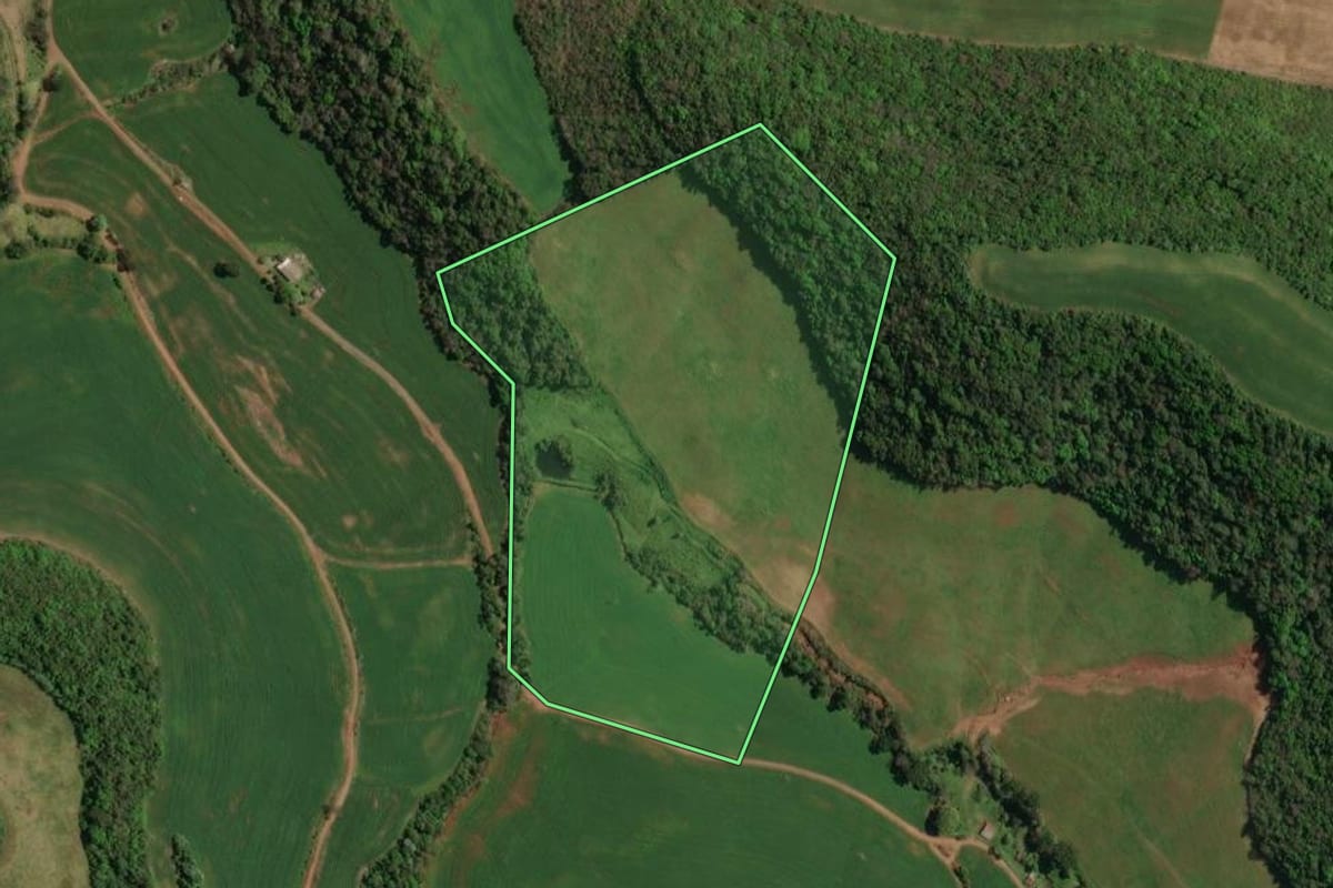 Imagem de satélite do imóvel rural em Paim Filho (RS), com o contorno declarado no CAR desenhado por cima.