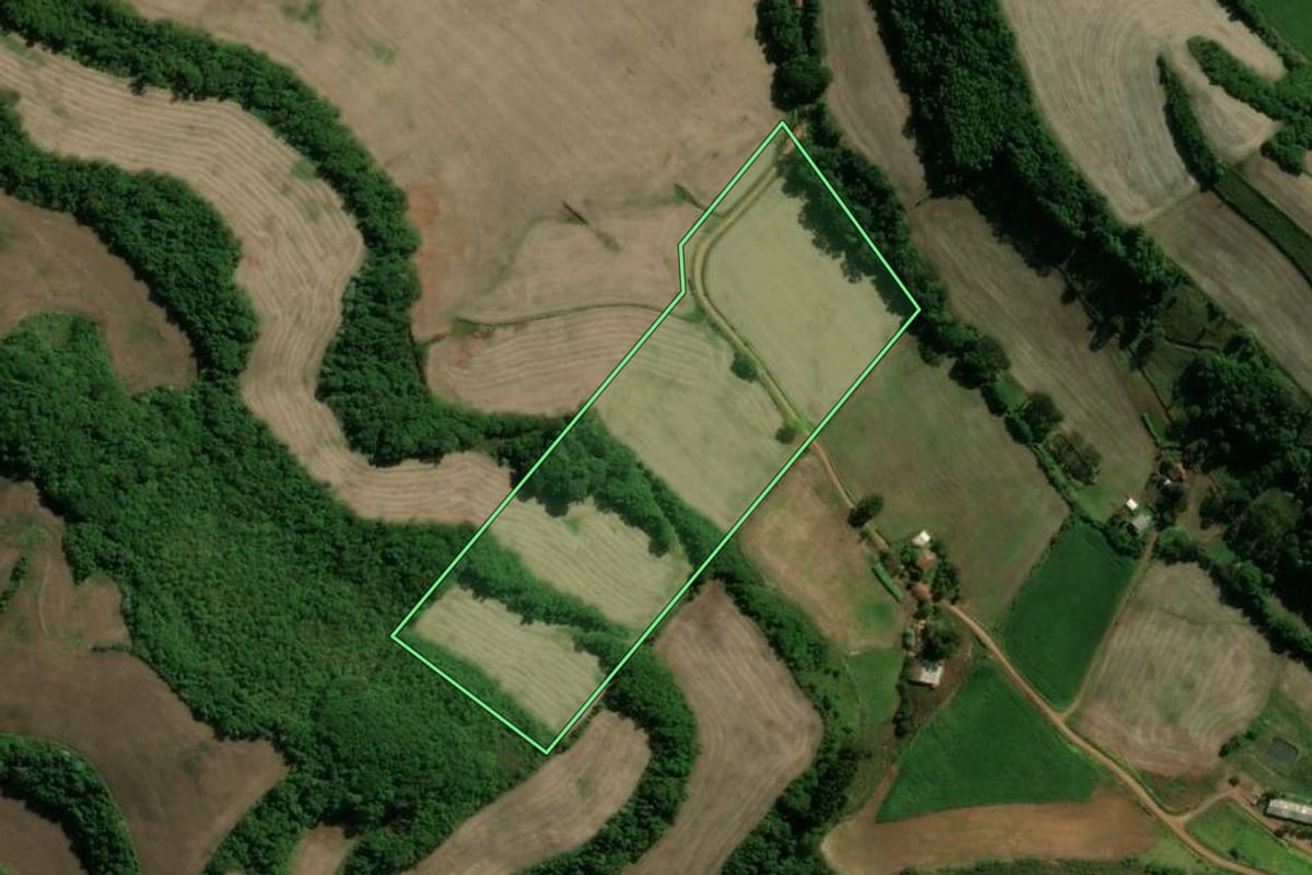 Imagem de satélite do imóvel rural em Paim Filho (RS), com o contorno declarado no CAR desenhado por cima.