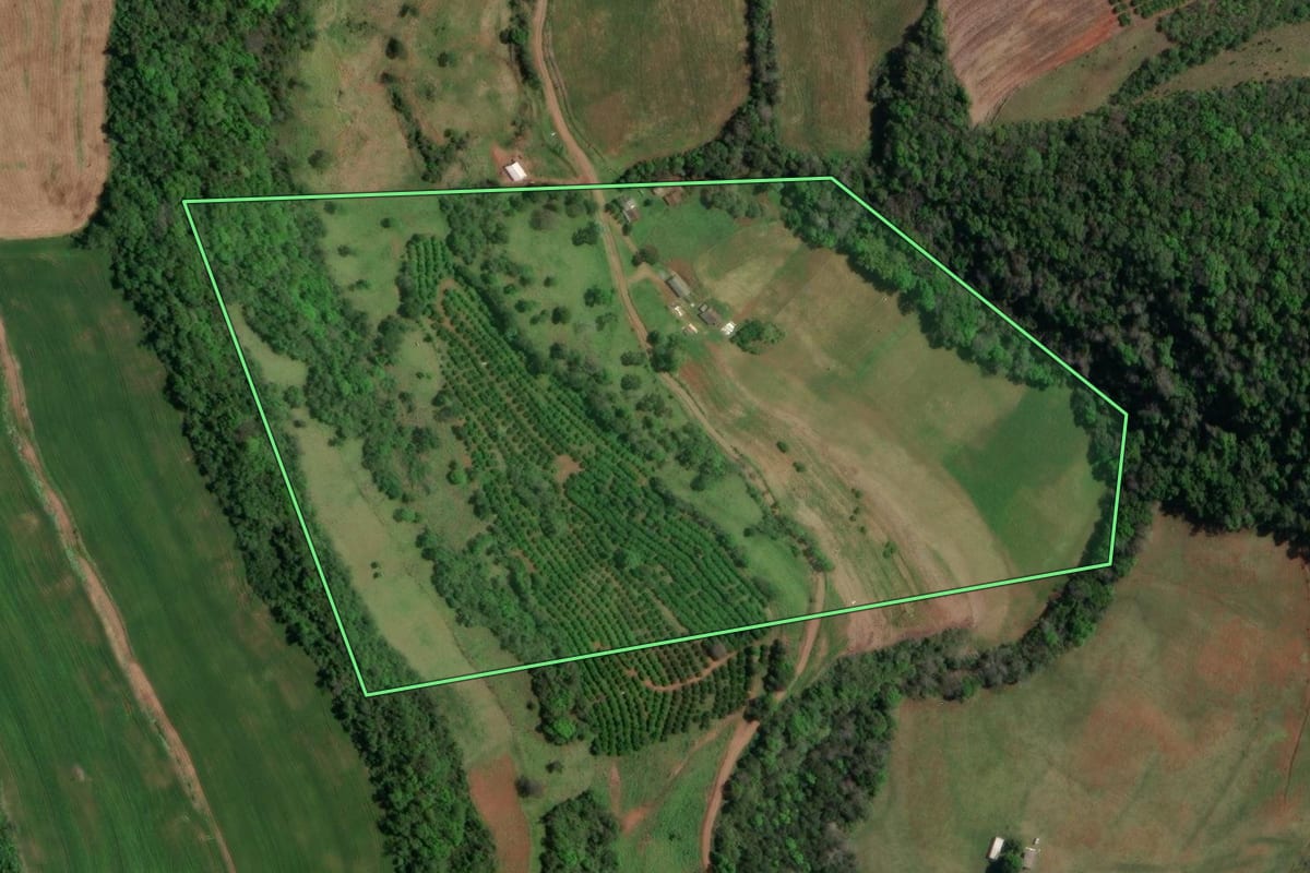 Imagem de satélite do imóvel rural em Paim Filho (RS), com o contorno declarado no CAR desenhado por cima.
