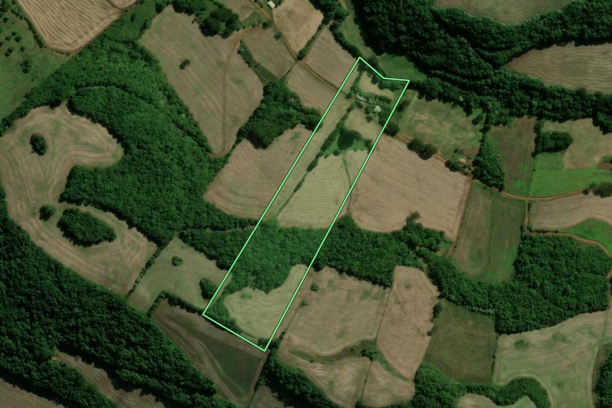 Imagem de satélite do imóvel rural em Paim Filho (RS), com o contorno declarado no CAR desenhado por cima.