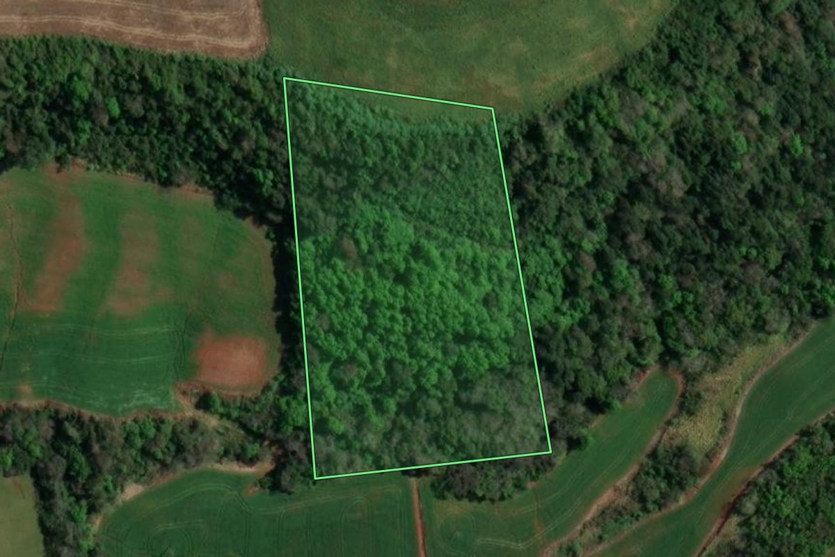 Imagem de satélite do imóvel rural em Paim Filho (RS), com o contorno declarado no CAR desenhado por cima.