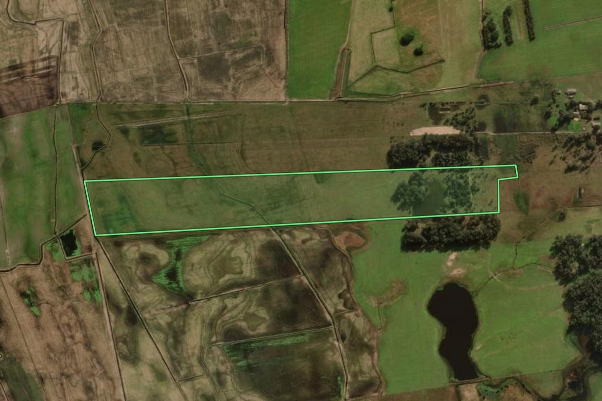 Imagem de satélite do imóvel rural em Palmares do Sul (RS), com o contorno declarado no CAR desenhado por cima.