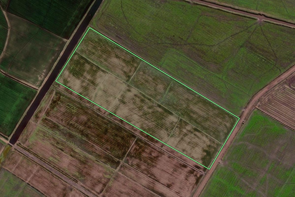 Imagem de satélite do imóvel rural em Palmares do Sul (RS), com o contorno declarado no CAR desenhado por cima.