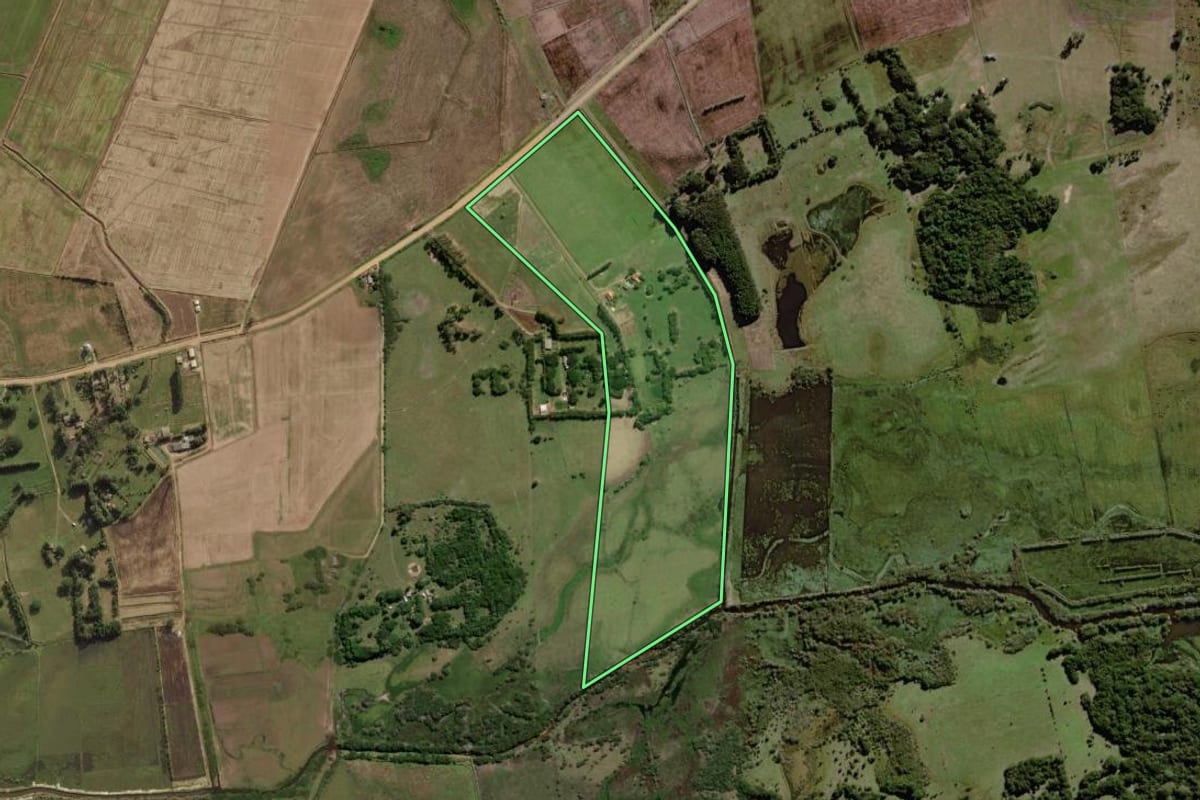 Imagem de satélite do imóvel rural em Palmares do Sul (RS), com o contorno declarado no CAR desenhado por cima.