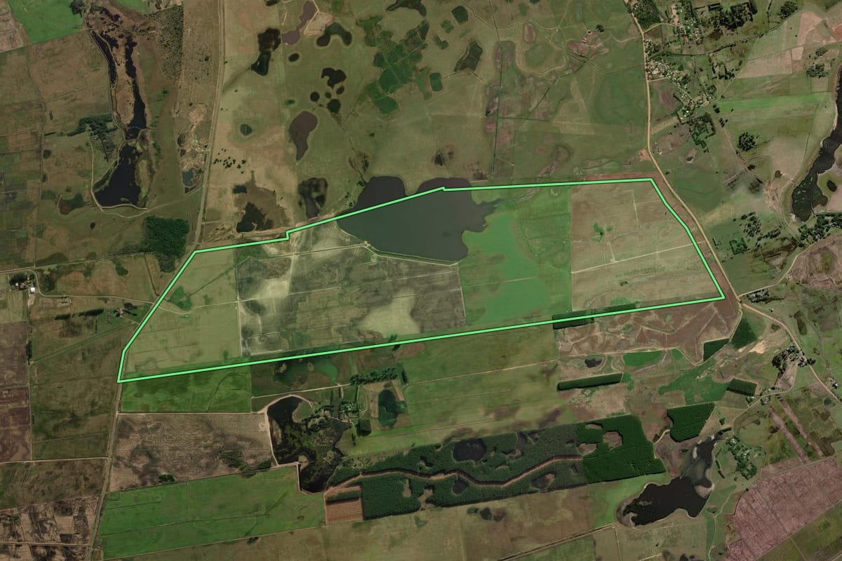 Imagem de satélite do imóvel rural em Palmares do Sul (RS), com o contorno declarado no CAR desenhado por cima.