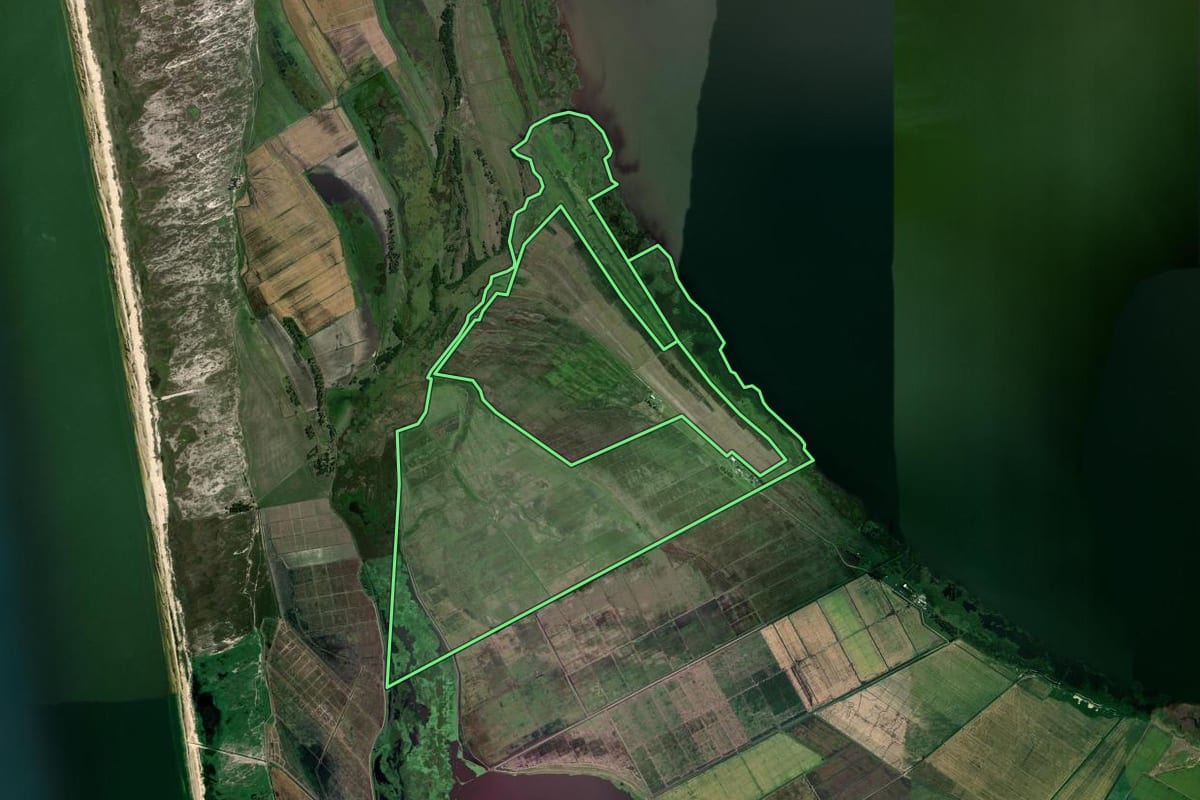 Imagem de satélite do imóvel rural em Palmares do Sul (RS), com o contorno declarado no CAR desenhado por cima.