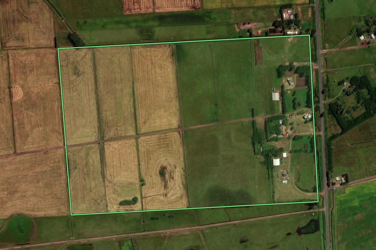 Imagem de satélite do imóvel rural em Palmares do Sul (RS), com o contorno declarado no CAR desenhado por cima.