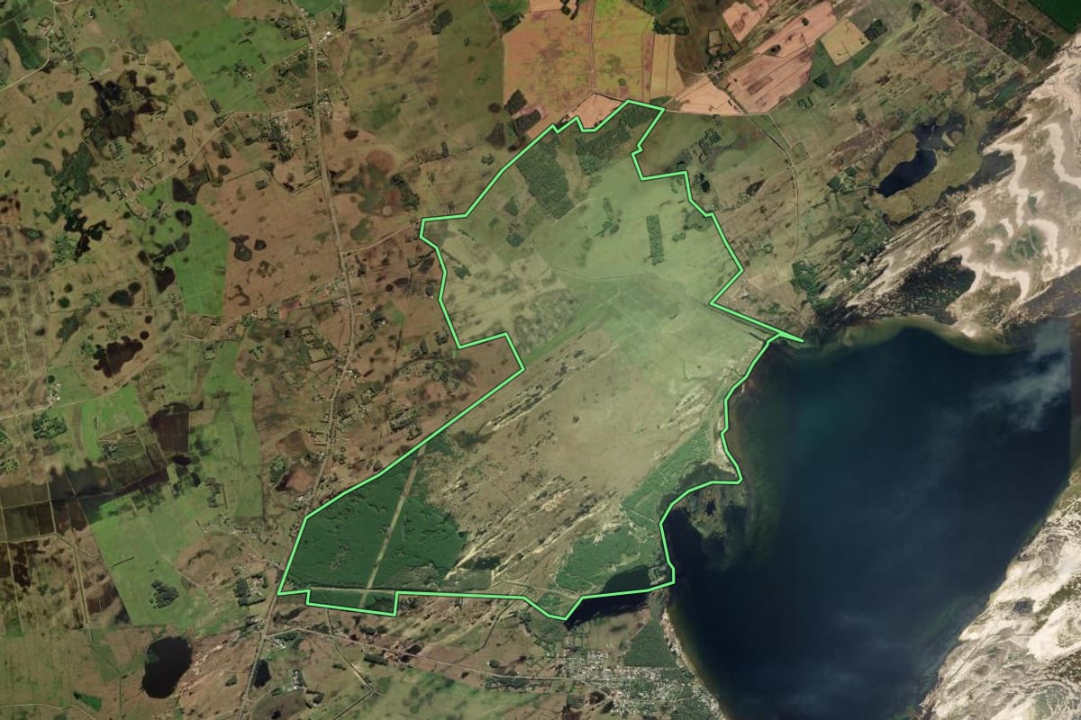 Imagem de satélite do imóvel rural em Palmares do Sul (RS), com o contorno declarado no CAR desenhado por cima.