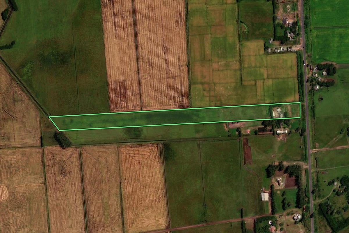 Imagem de satélite do imóvel rural em Palmares do Sul (RS), com o contorno declarado no CAR desenhado por cima.