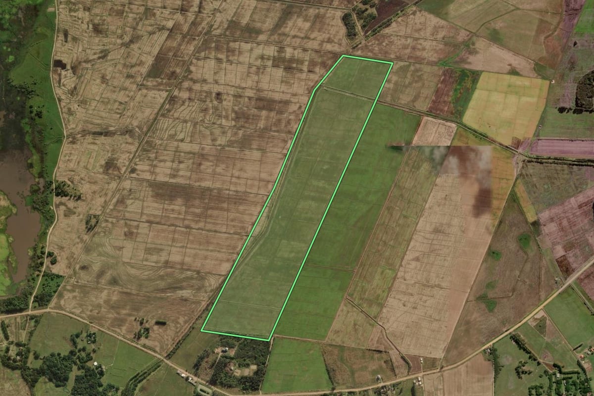 Imagem de satélite do imóvel rural em Palmares do Sul (RS), com o contorno declarado no CAR desenhado por cima.